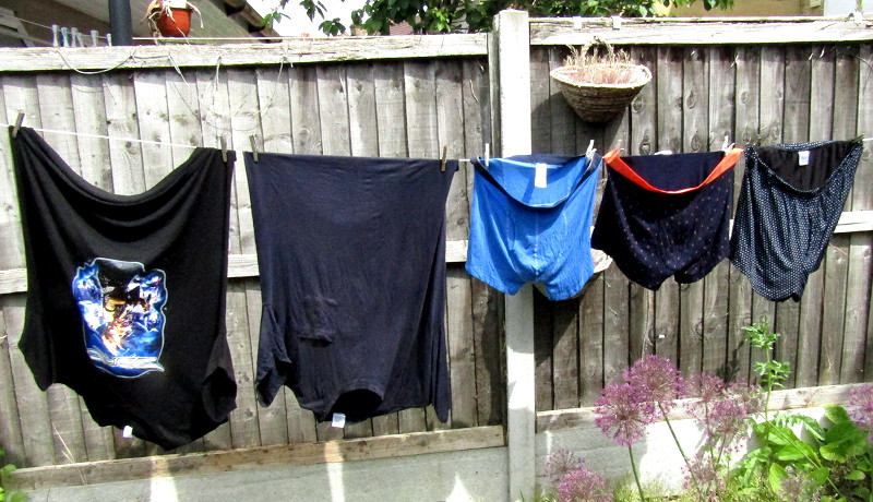 washing on the
                              line