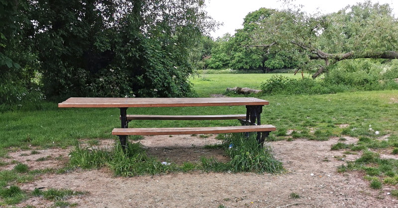picnic table in
                              the park
