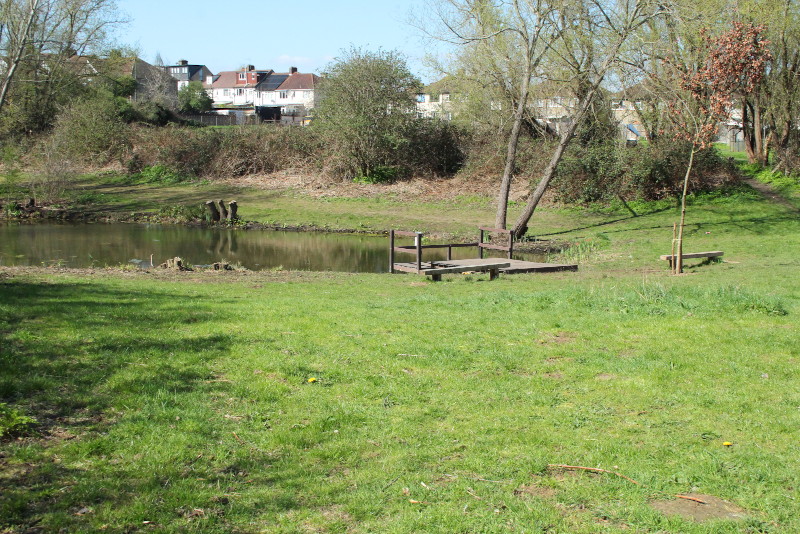 another, and
                              much bigger cleared pond