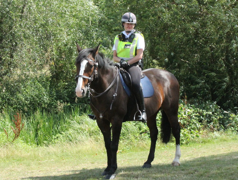 Police on
                                  horseback
