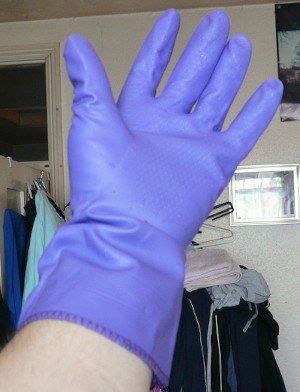 purple rubber gloves