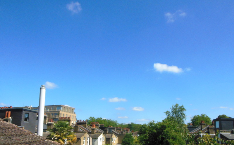 blue sky and fluffy
                                            clouds