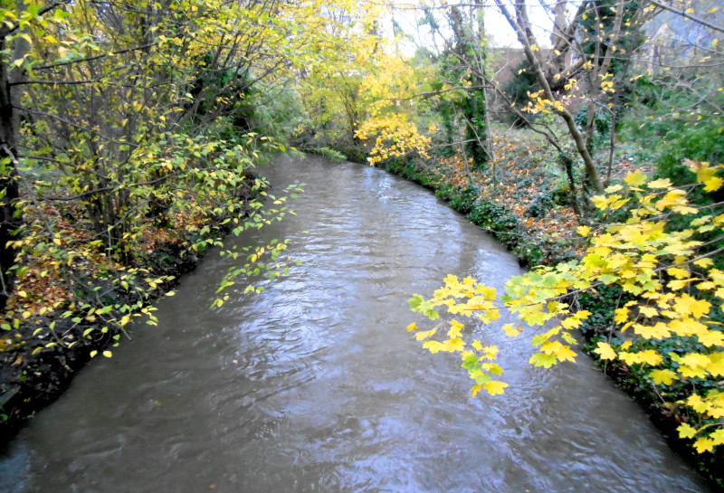 River running deep,
                                                wide and muddy