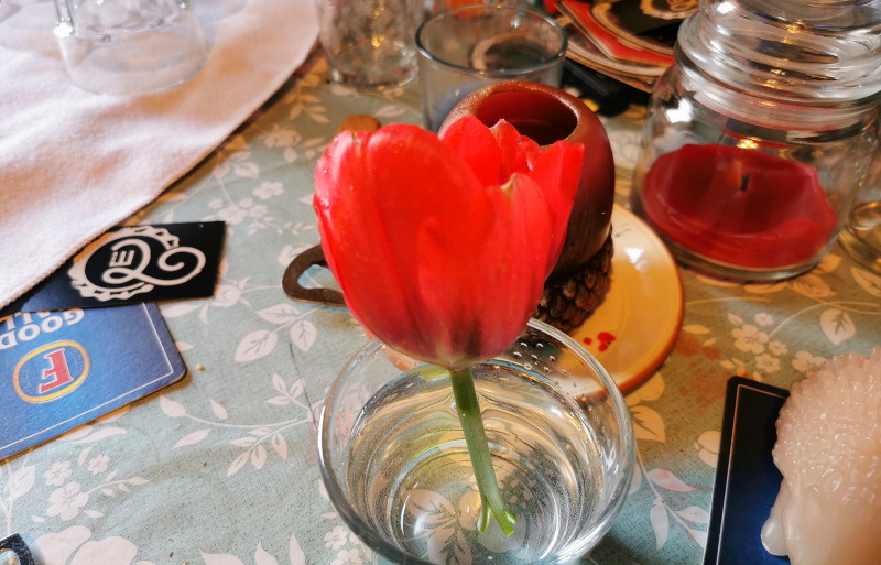 single red tulip