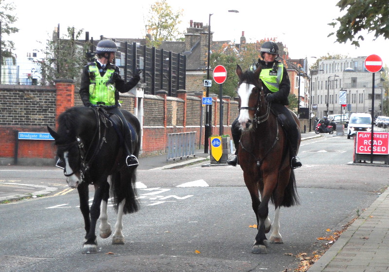 cowboy
                                      (cowgirl) coppers