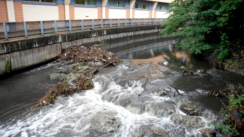 white
                                      water at the weir