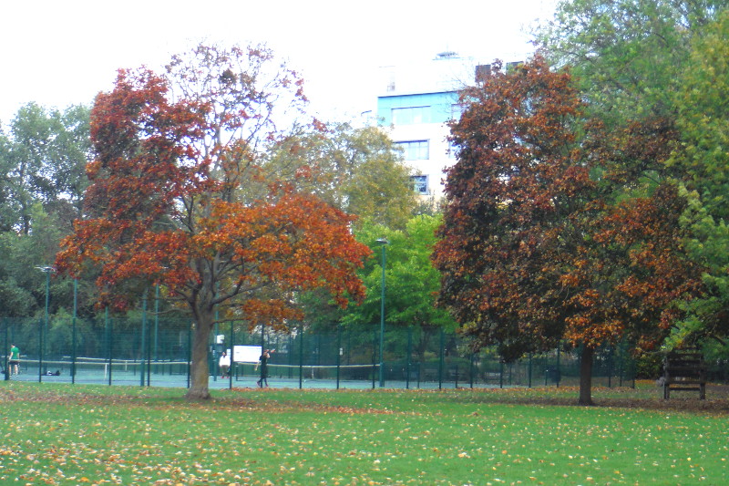 brown
                                      and green