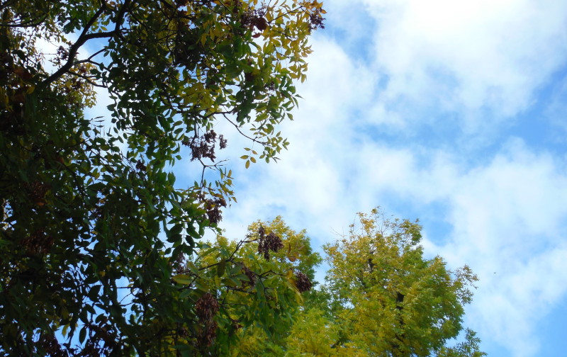 bits of
                                      blue sky