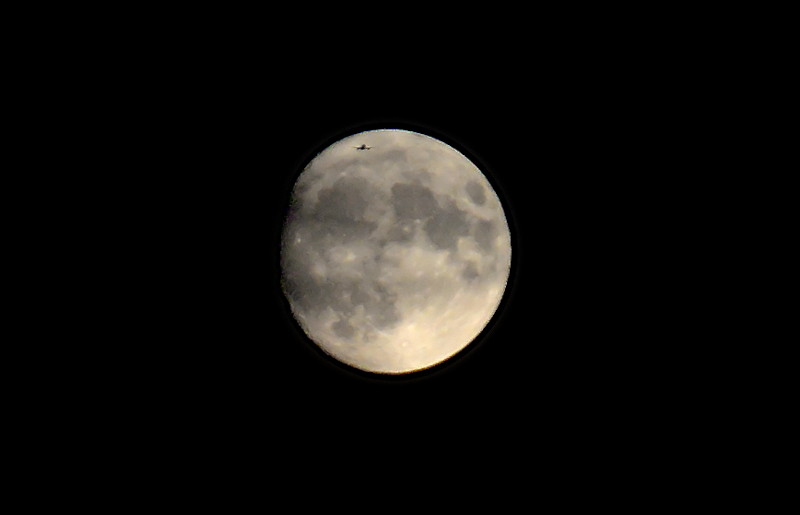 almost full moon