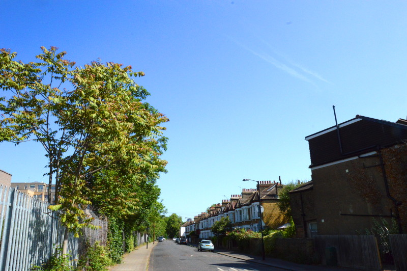 lovely blue sky