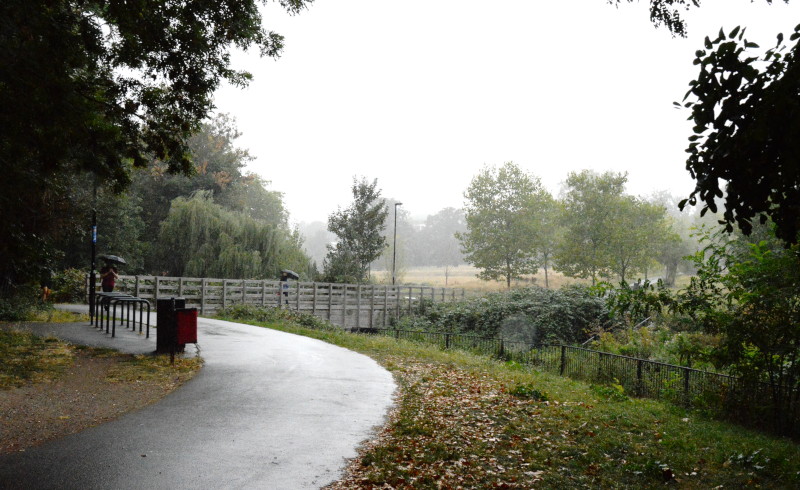 first
                                      rain