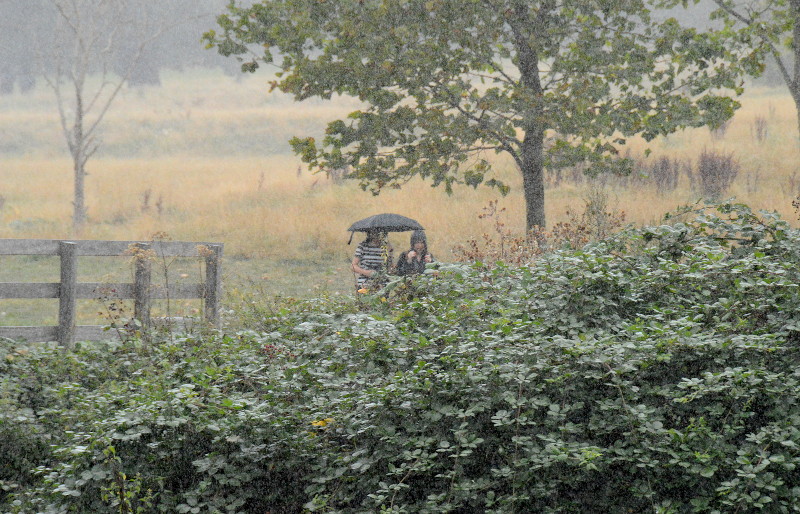 heavy rain