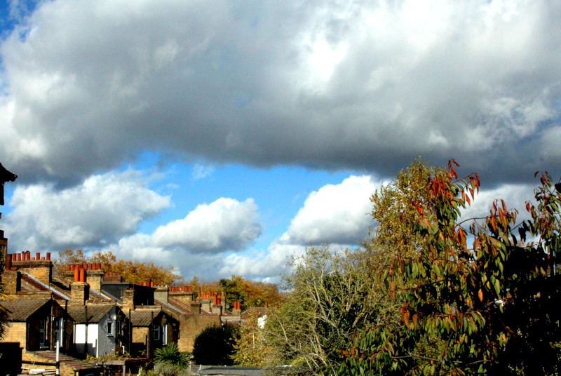 the
                                      horror of a cloud with a very dark
                                      bottom