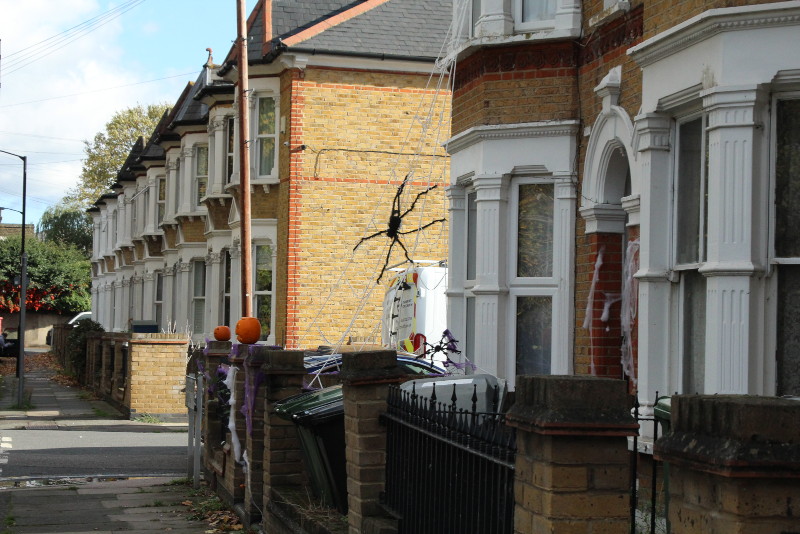 a true
                                      horror