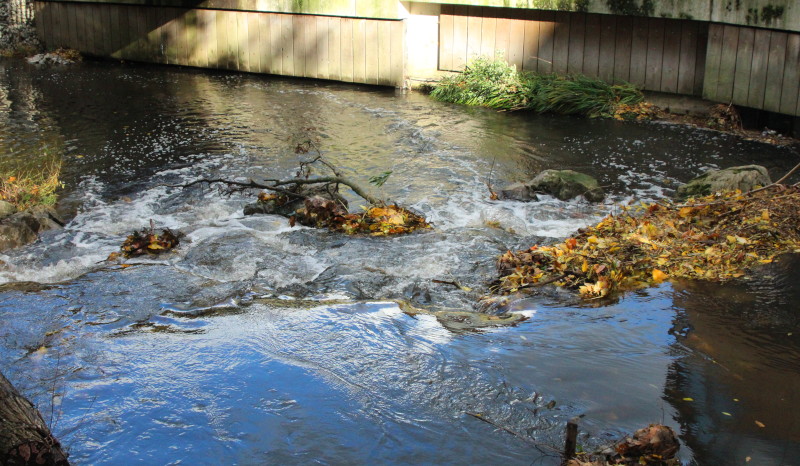 deep
                                      water