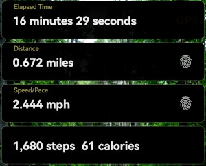 16 minutes of walking 16 minutes of walking