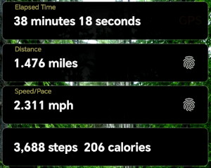 my walk statistics my walk statistics