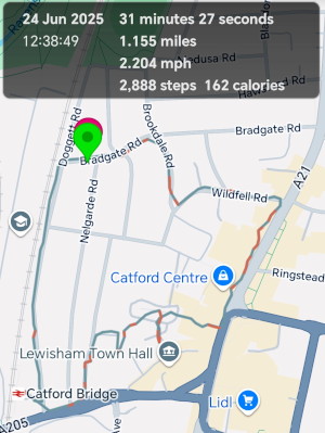 my walk