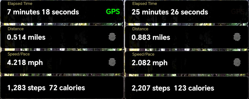 two
                                      parts of my walk