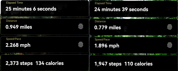 my walk
                                      - there and back