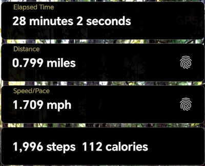 slower walk home slower walk home