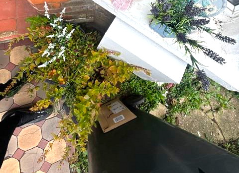 Amazon delivery Amazon delivery