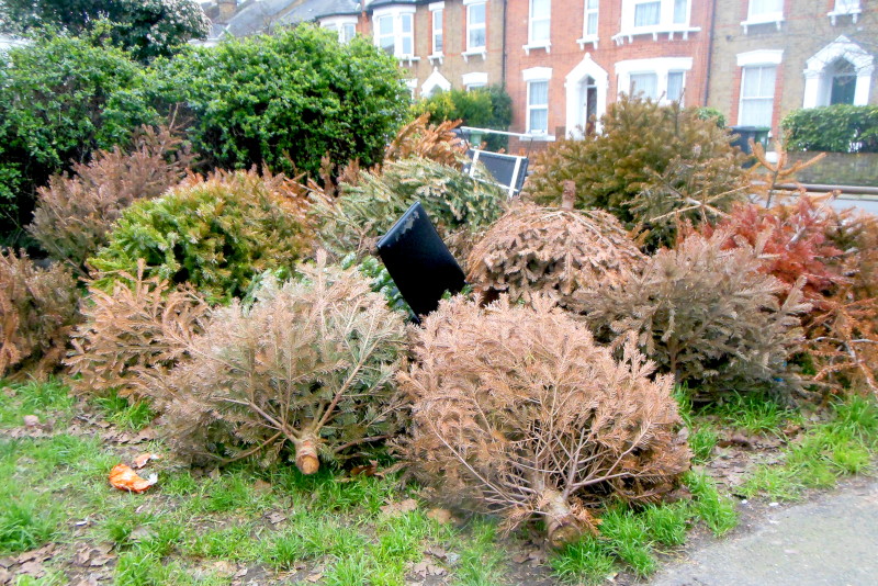 Xmas
                                          tree graveyard