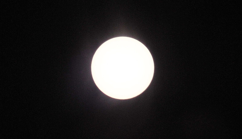 Full
                                          sun
