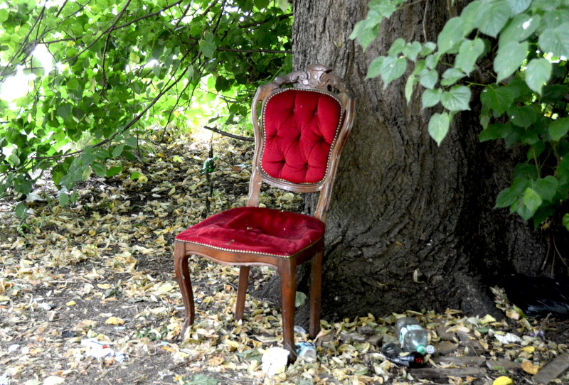a
                                          chair behind a tree