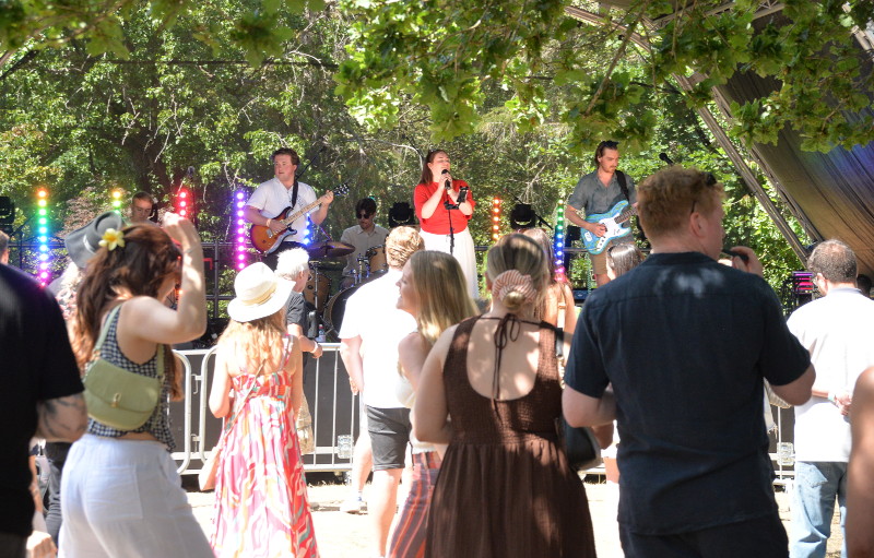 more
                                          audience under the trees