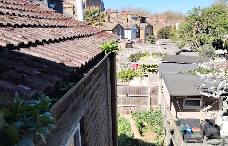 looking
                                      down the gutter