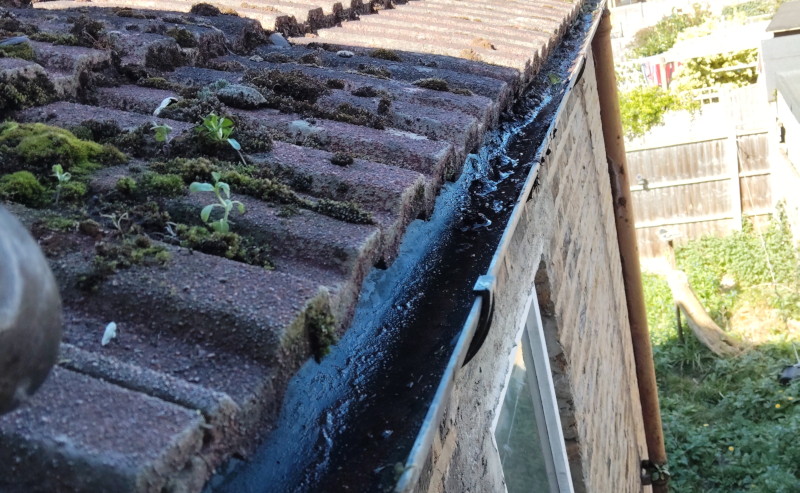 almost
                                      clean