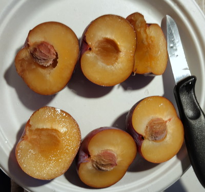 three plums