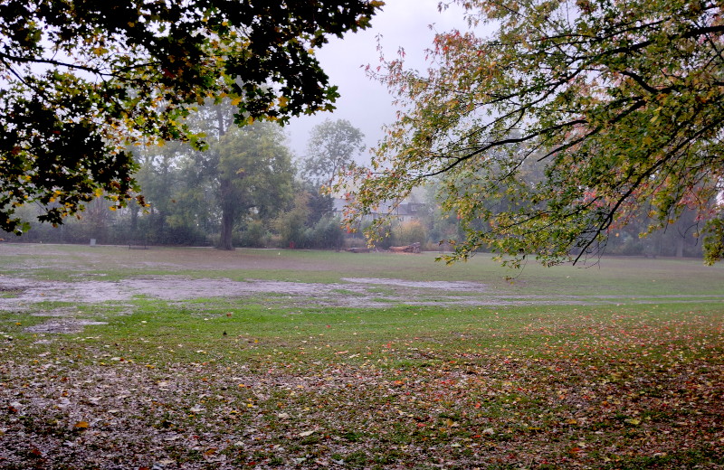 sheets of rain