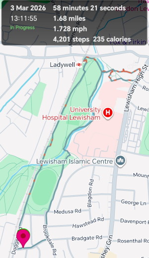 my longest walk for
                                        ages