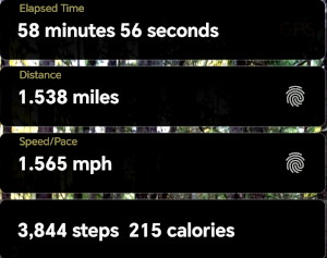 not a very long walk