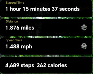 my walk